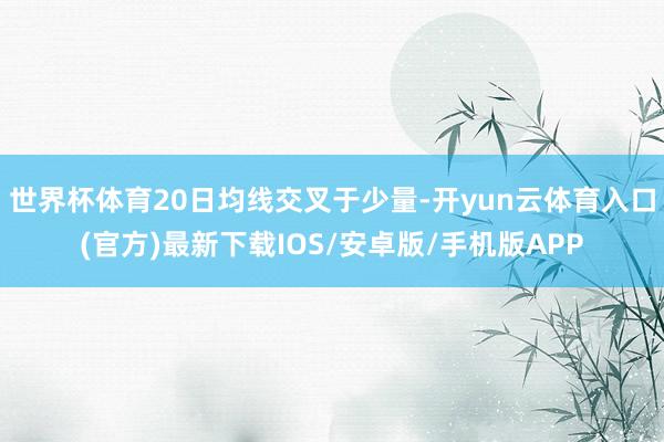 世界杯体育20日均线交叉于少量-开yun云体育入口(官方)最新下载IOS/安卓版/手机版APP